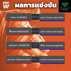 ผลการแข่งขัน