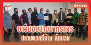 ข่าวมวย