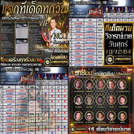 บทวิจารณ์ของเซียน 15 คน 