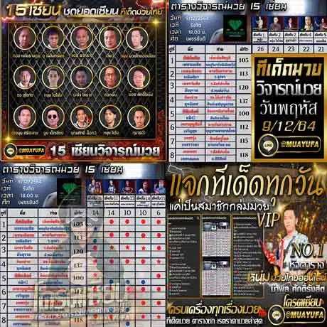 บทวิจารณ์ของเซียน 15 คน
