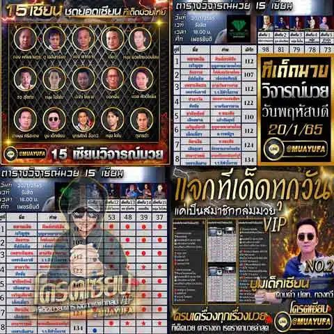 บทวิจารณ์ของเซียน 15 คน