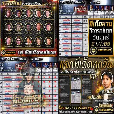 บทวิจารณ์ของเซียน 15 คน