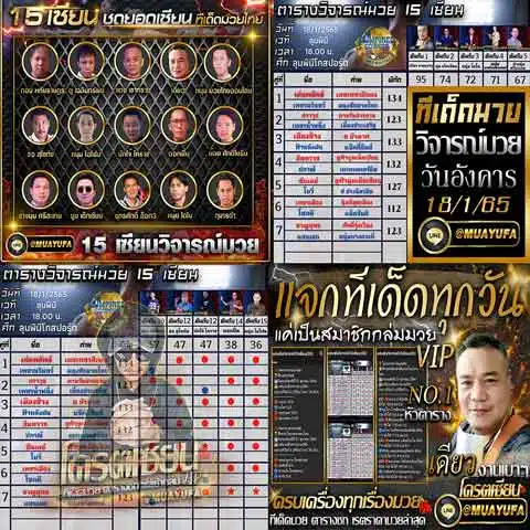 บทวิจารณ์ของเซียน 15 คน 