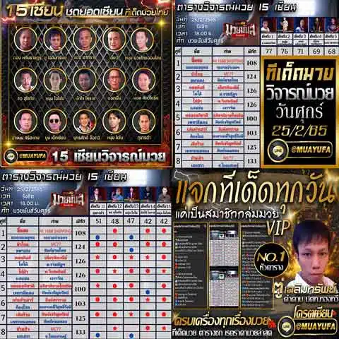 บทวิจารณ์ของเซียน 15 คน