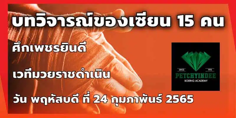 บทวิจารณ์ของเซียน 15 คน