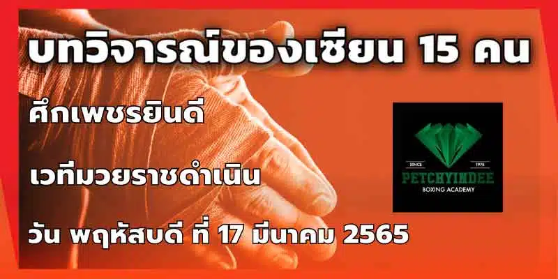 บทวิจารณ์ของเซียน 15 คน
