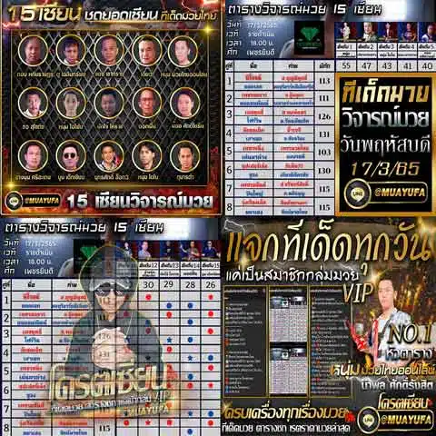 บทวิจารณ์ของเซียน 15 คน 