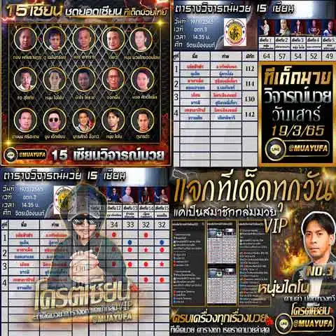 บทวิจารณ์ของเซียน 15 คน
