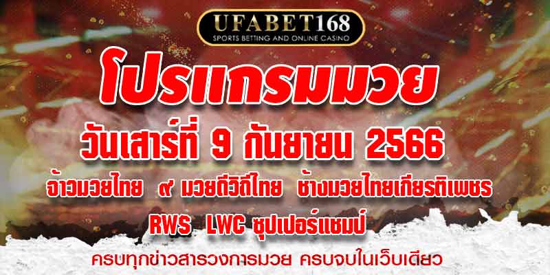 โปรแกรมมวย